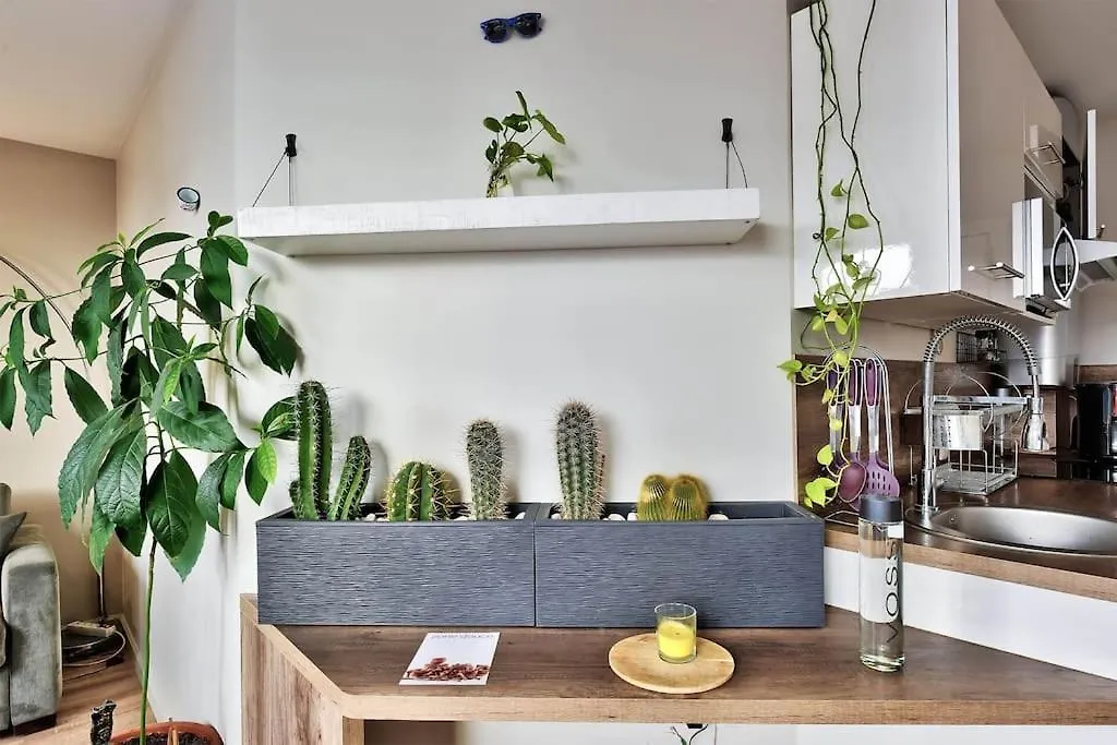 Le Vegetal - Avec Acces Jardin - Au Coeur De La Croix-Rousse Apartment Lyon